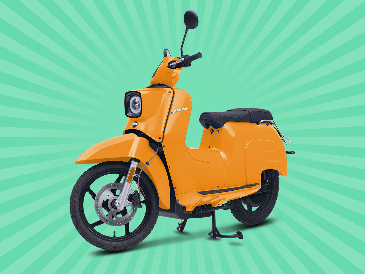 eSchwalbe 50er 45 km/h