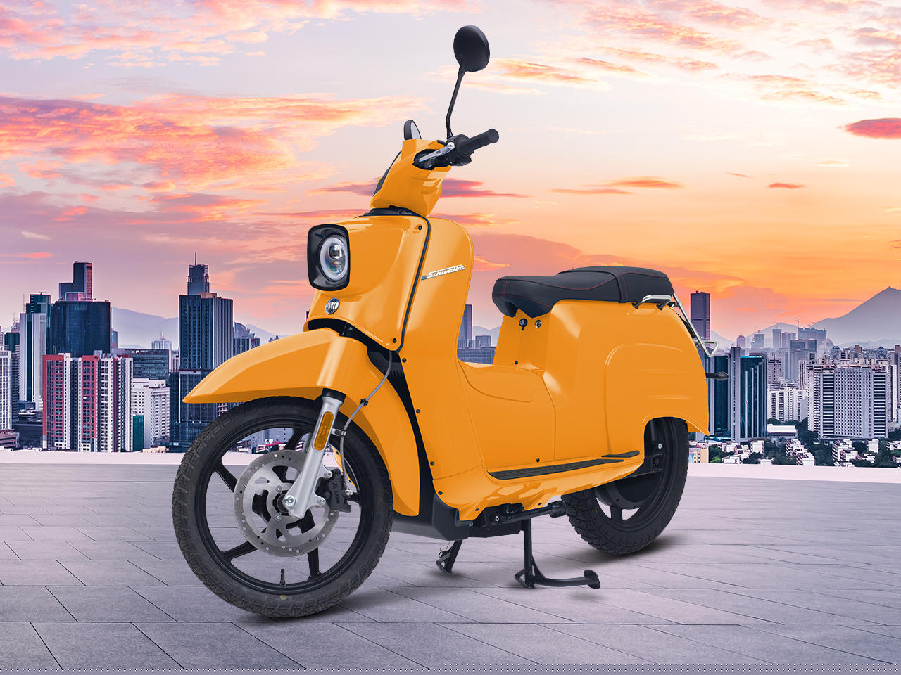 eSchwalbe 50er 45 km/h