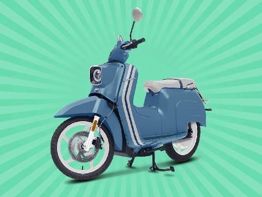 eSchwalbe 50er - nizza Sondermodell mit Sitz- und Lenkerheizung
